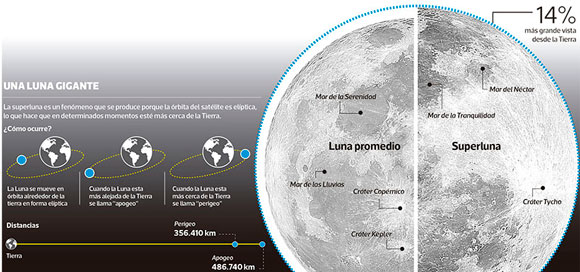 luna-1116