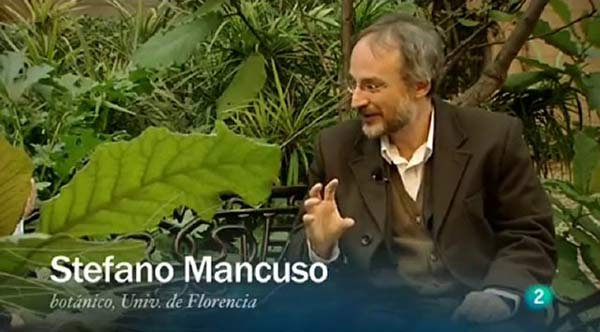 mancuso-0117