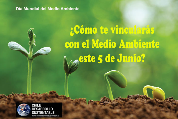 día-del-medioambiente-6-17