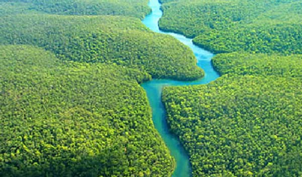 El impacto del cambio climático en la selva amazónica | Chile Desarrollo  Sustentable