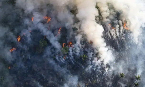 La vital pero frágil Amazonía está en llamas: ¿Por qué importa tanto esta  región? | Chile Desarrollo Sustentable