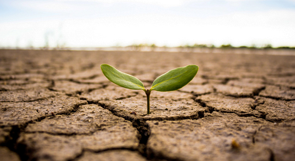 Chile Desarrollo Sustentableel Cambio Climatico Y La Tierra Informe Del Grupo Intergubernamental De Expertos Sobre El Cambio Climatico Ipcc Chile Desarrollo Sustentable