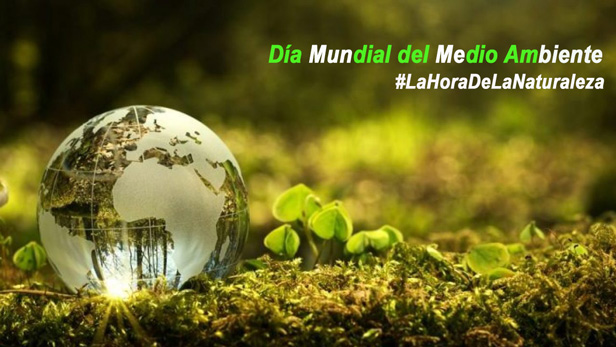 Dia Mundial Del Medio Ambiente Hoy Es Lahoradelanaturaleza Chile Desarrollo Sustentable